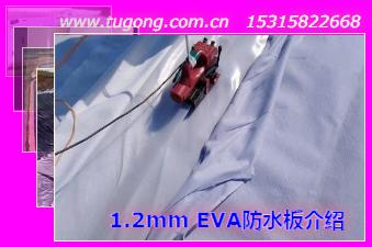 1.2mm EVAˮB